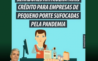 Senadores articulam mais crédito para empresas de pequeno porte sufocadas pela pandemia